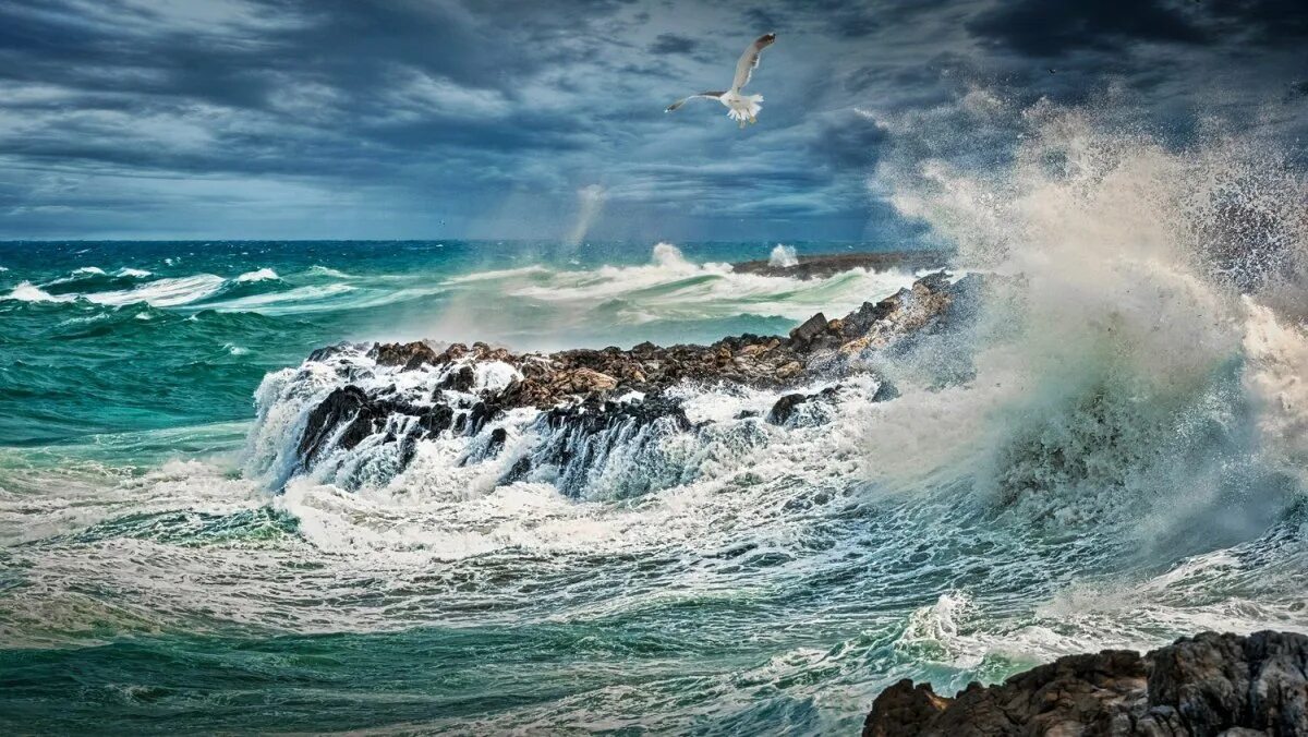 Волна волнует. Море, волны. Океан волны. Бушующее море. Волны и скалы.