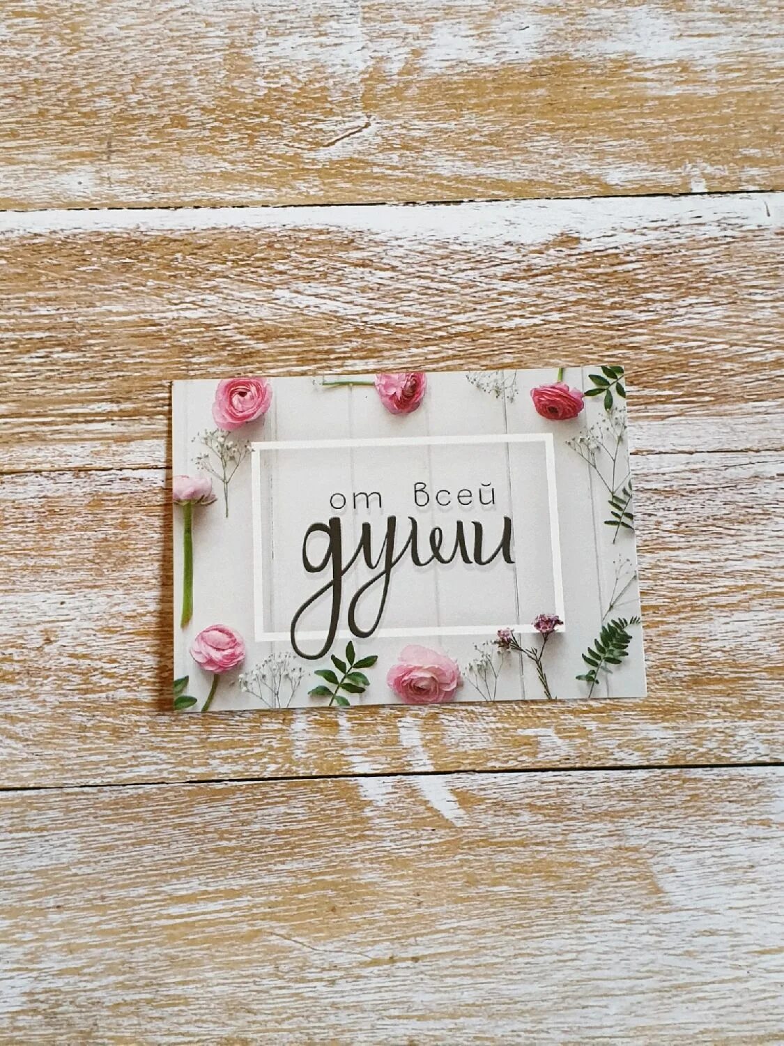 Воскресенская 79 архангельск. Открытка комплименты. Магазин комплимент. Комплимент сергиев посад. Комплимент сергиев посад.