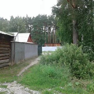 Тюнево тюменская область