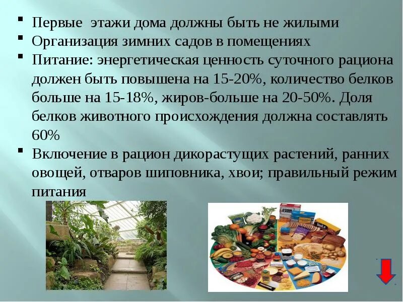 Питание в условиях жаркого климата. Питание в условиях холодного климата. Особенности питания в жарком климате. Особенности питания в холодном климате.