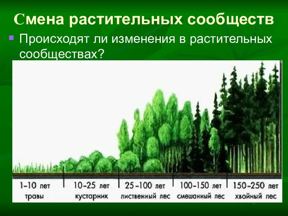 Влияние человека на смену года. Смена растительных сообществ ярусность. Схема смены растительных сообществ. Причины смены растительных сообществ. Причины смены природных сообществ.