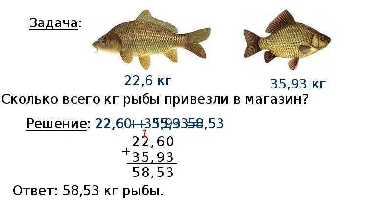 Сколько рыб на литр. Решить задачу сколько рыбок. Сколько всего рыб. 9кг рыба размер. Сколько будет 10 рыб и килограмм.