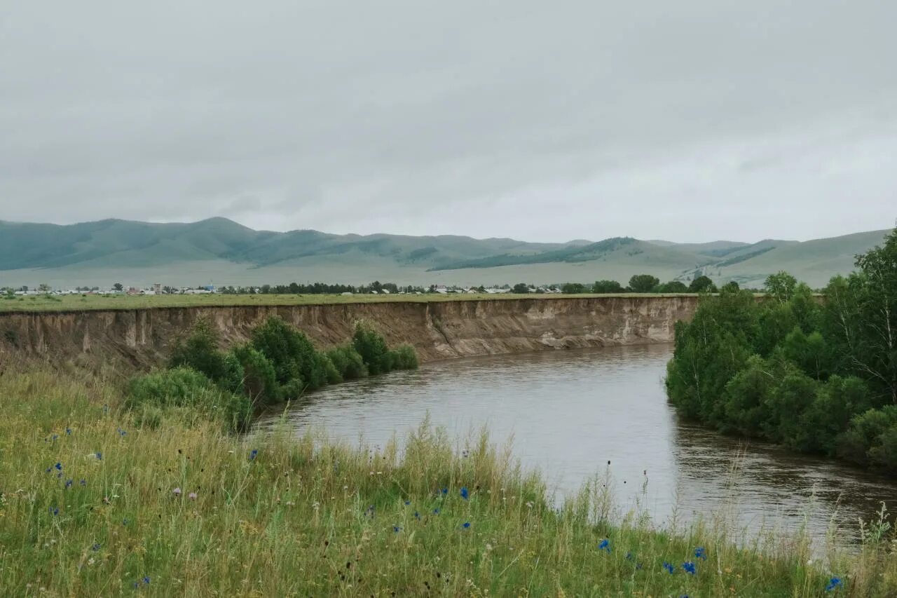 Село Кыра Забайкальского края. Село Кыра Забайкальского края Кыринского района. Река Кыра. Мангут Забайкальский край. Погода в забайкальском крае в кыре