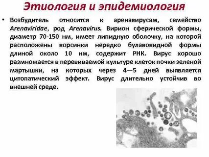 Возбудитель не относится к