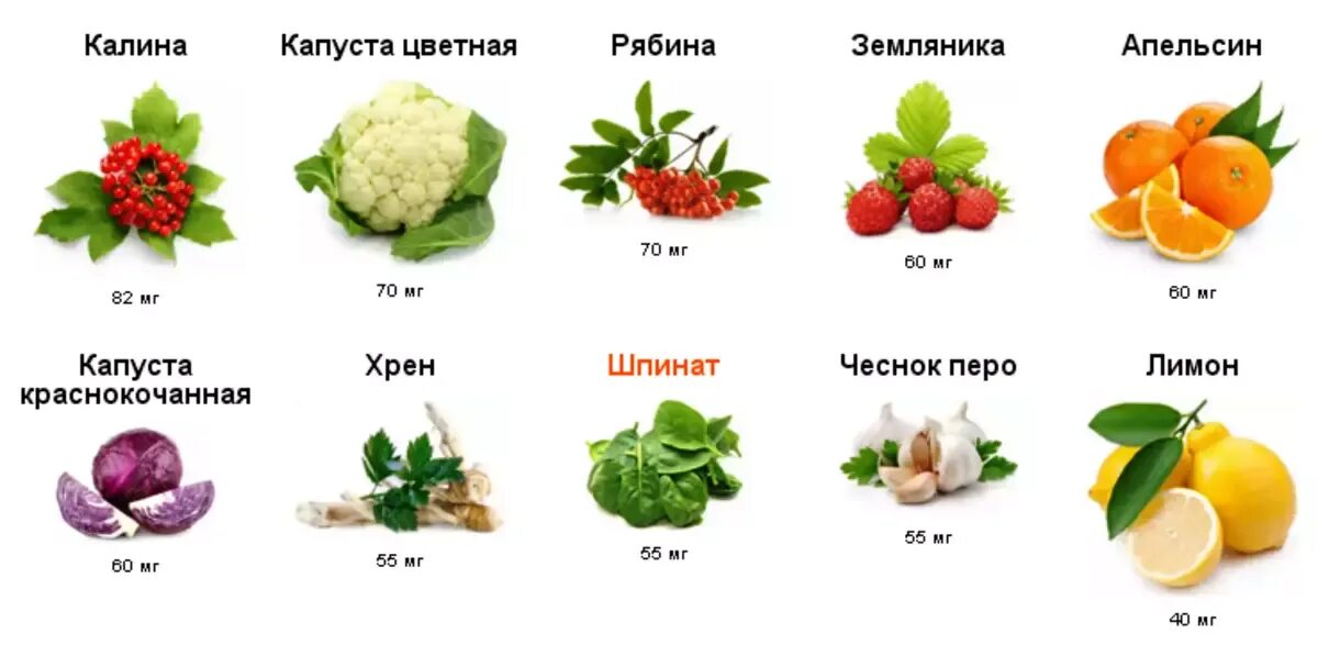 Овощи с большим содержанием витамина с