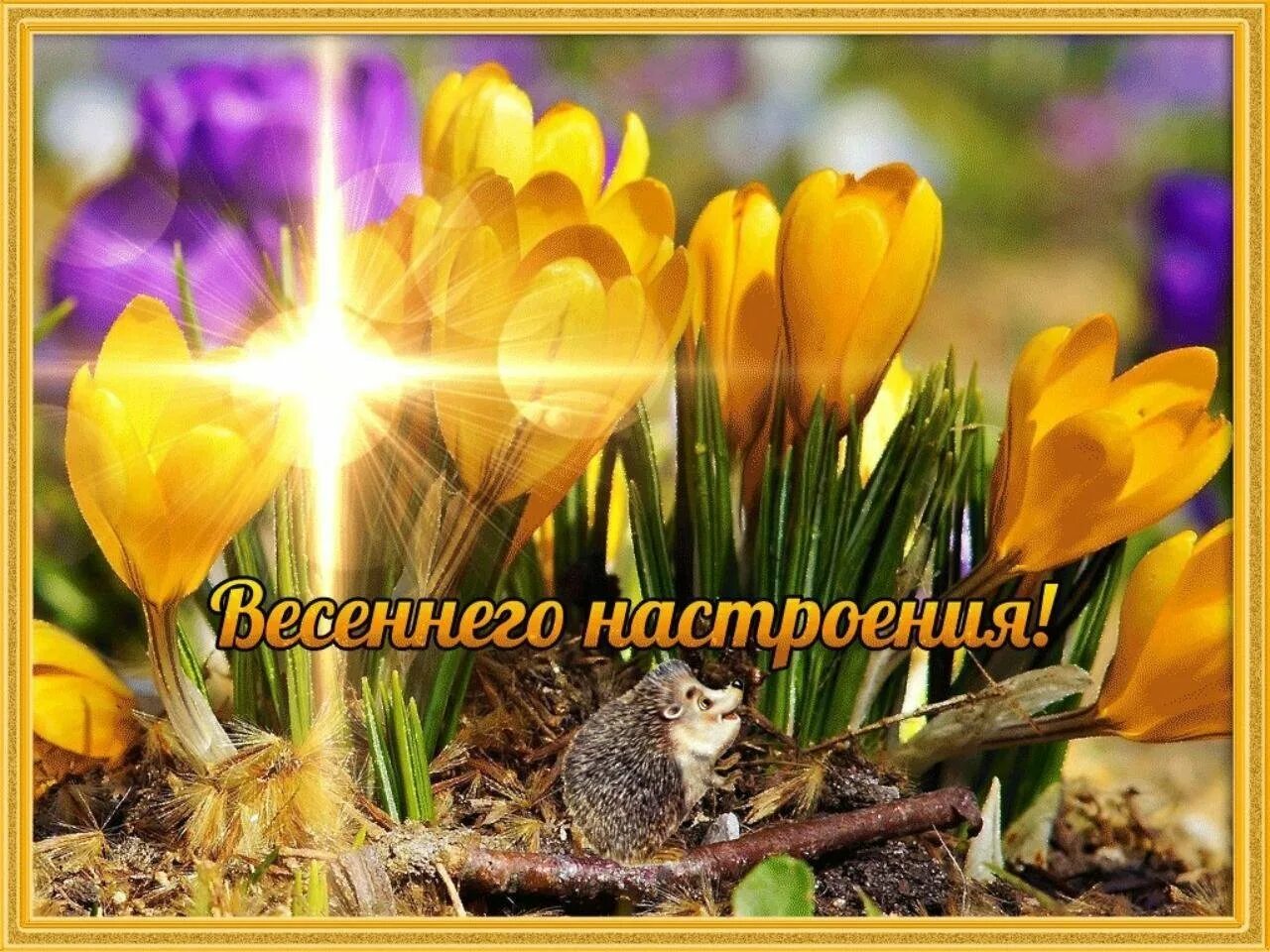 Удачного апреля