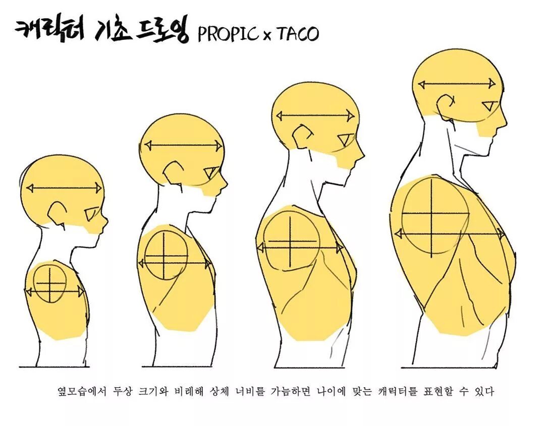 Propic x Taco. Кивает референс. Propic Taco Anatomy. Наклон головы референс. Load reference