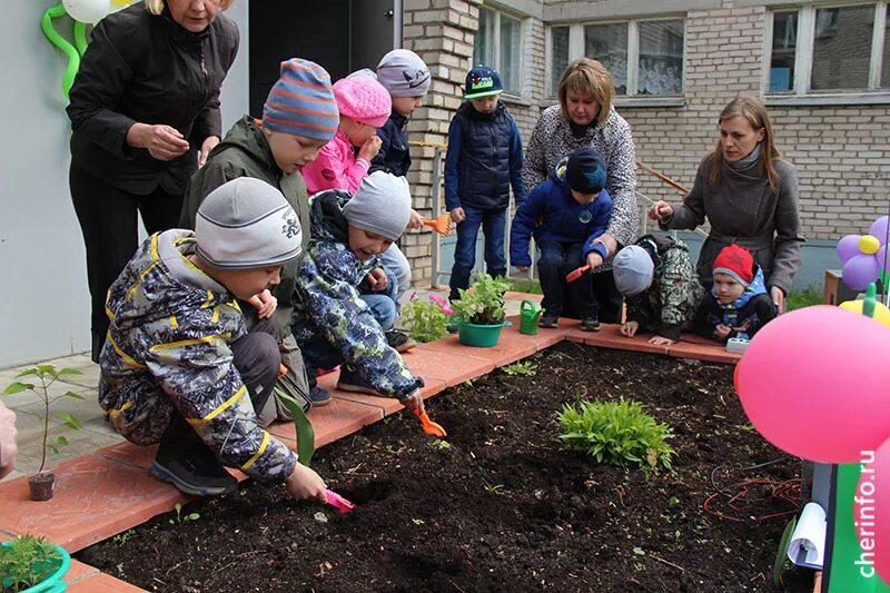 Уровень конкурсов в саду. Озеленение Череповец Озеленение города. Цветники в Череповце. Детские сады города Вологды клумбы. Картинки конкурс садов.