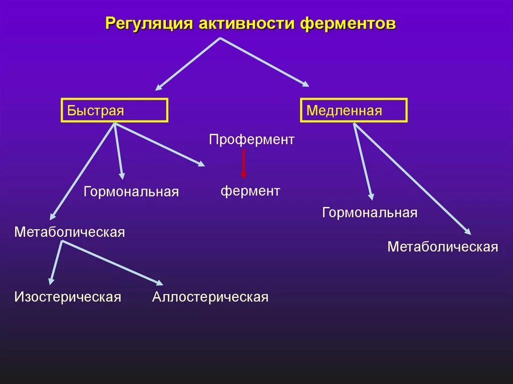 Медленная гормональная регуляция активности ферментов. Типы регуляции активности ферментов биохимия. Типы регуляции активности ферментов. Автономная регуляция активности ферментов. Типы активаторов