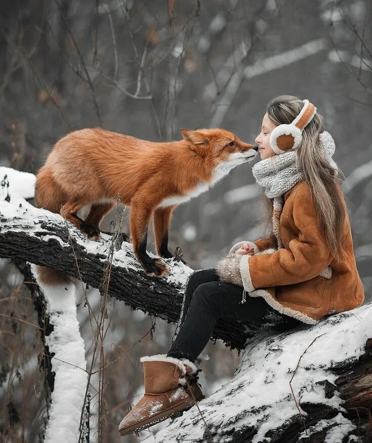 Лиса и ее жизнь. Зимняя фотосессия с лисой. животные зимой. животные в зимнем лесу. лиса зима.