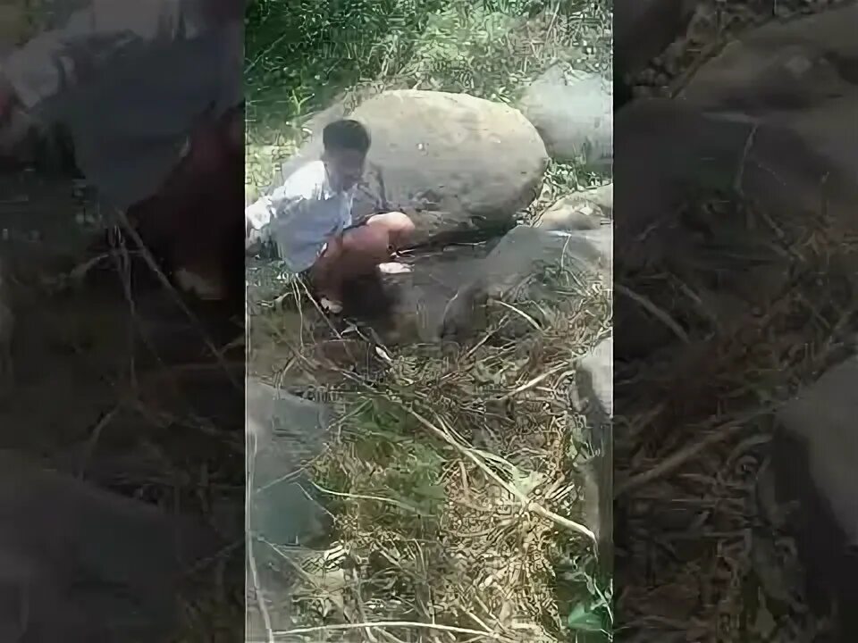 Sma pramuka ngentot. Lagi viral anak smp. Abg smp 2022. Bokep bocah vs tante wolf fire. Sd colmek.