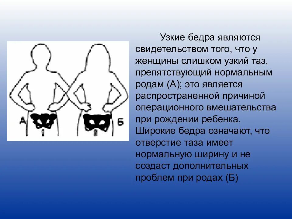 Что такое чресла у человека. Мышцы бедра анатомия передняя поверхность бедра. Древнииназвани частей тела. Медиальная группа мышц бедра. Старинные названия частей тела человека.