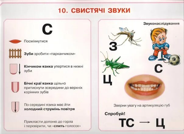 Логопедия код