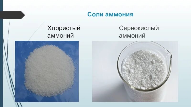 Соли аммония. Физико химические соли аммония. Аммониевая соль. Хлорид аммония это соль. Гидроксид алюминия соляная кислота сульфат аммония