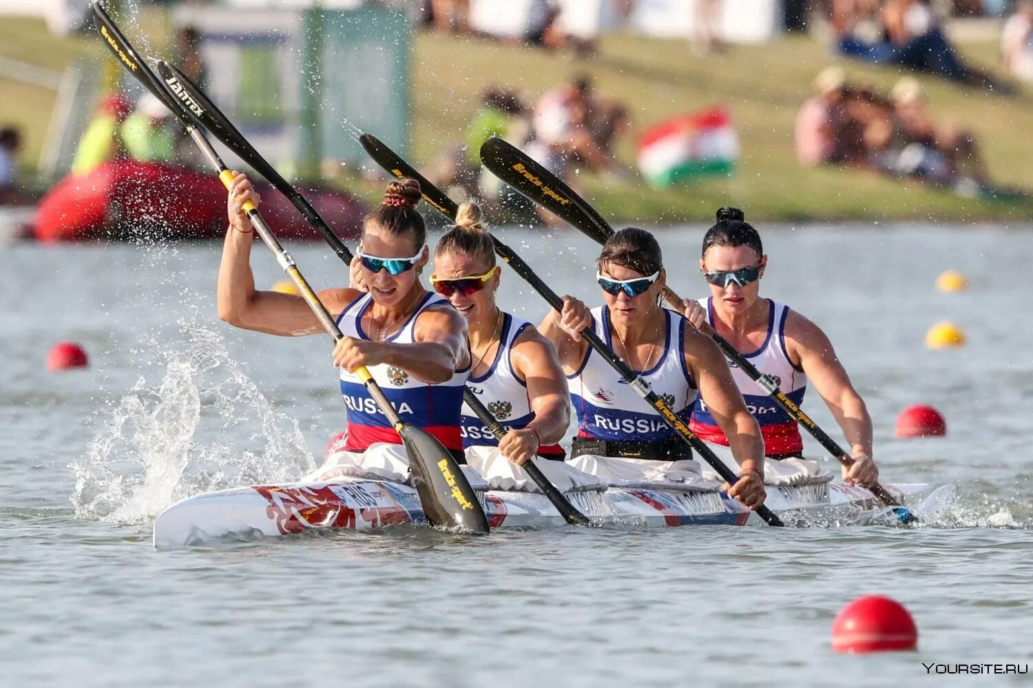 Водные виды спорта в олимпийских играх