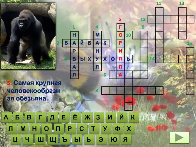 Кроссворд животные красной книги. Обезьяна сканворд. Кроссворд пресмыкающиеся. Кроссворд приматы. Японский кроссворд горилла.