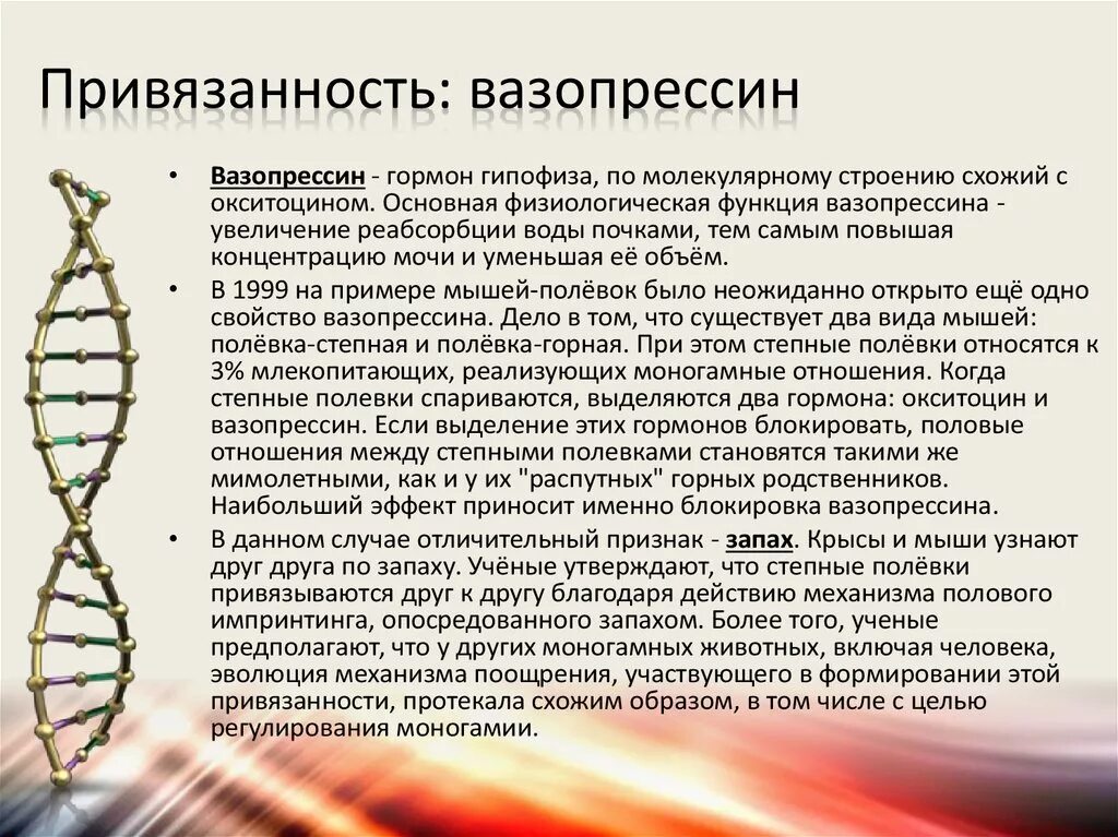 Аналогичным образом. Вазопрессин гормон функции. Вазопрессин структура и функции. Физиологическая роль вазопрессина. Вазопрессин гормон привязанности.