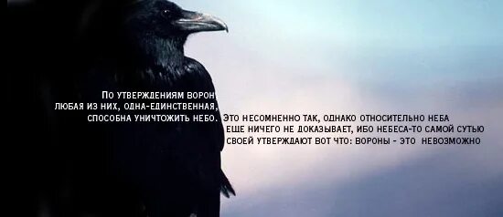 Несомненно способно