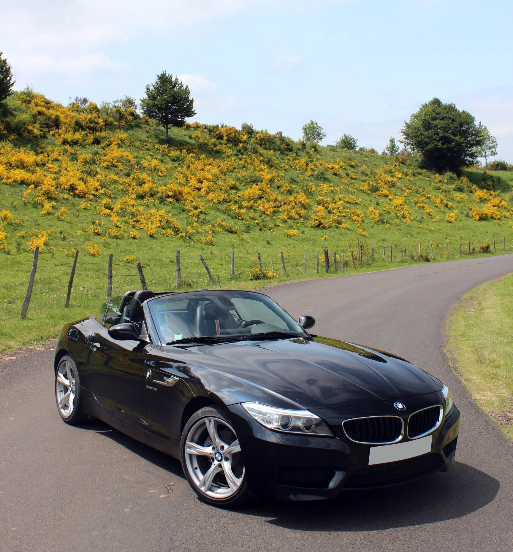 BMW BMW z4. BMW z4 2022. BMW z4 Roadster черная. BMW z4 2002. Бмв двухместная