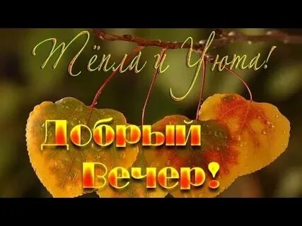 Добрый вечер картинки позитивные осенние с пожеланиями
