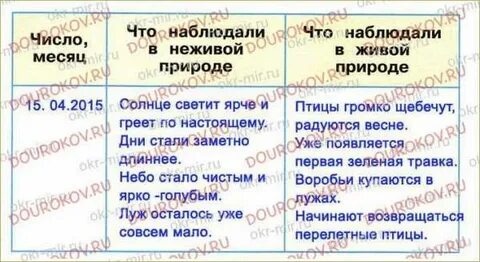 Что наблюдали в неживой природе