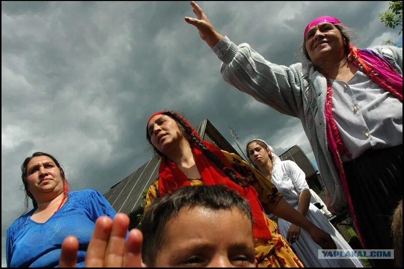 цыгане плохие