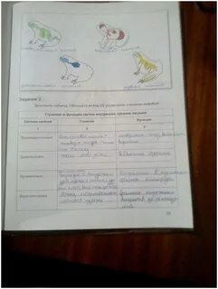 Тпо биология 7