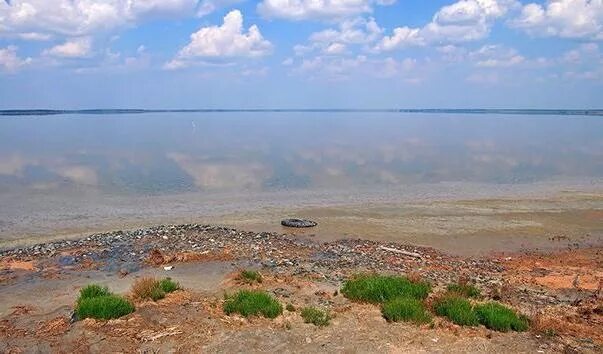 Курган соленое озеро. Озеро Медвежье Курган. Солёное озеро в Курганской области. Мертвое море Зауралья озеро Медвежье. Мертвое озеро курганская область