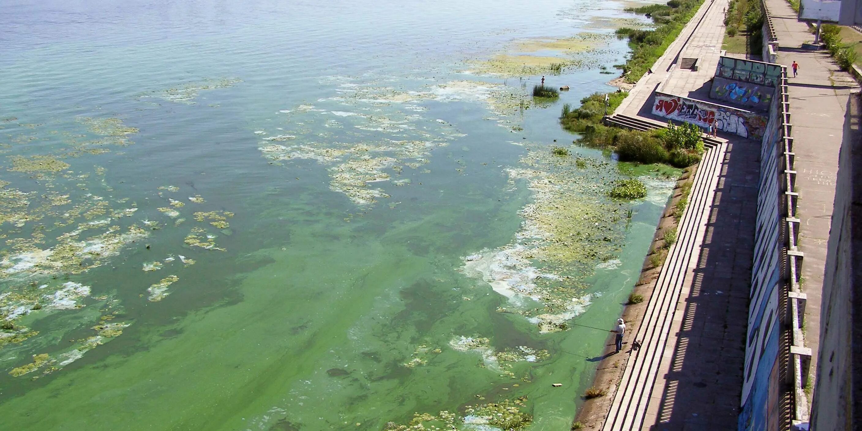 Пердо фамильев. Река днепр экологические проблема. Река днепр мелеет. Виды преступлений по судебнику 1550. Пруд с камышами фото.