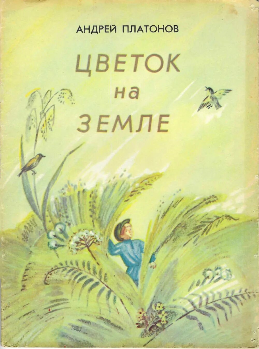 Вопросы к произведению цветок на земле. Цветок на земле Платонов. Андрея Платоновича Платонова «цветок на земле».