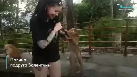 Девушка с обезьяной видео