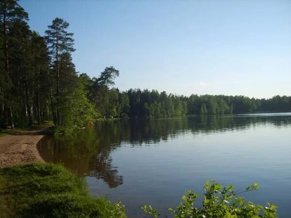 Озеро круглое ленинградская область. Круглое озеро всеволожск. озеро большое всеволожск. озеро большое ленинградская область всеволожск.