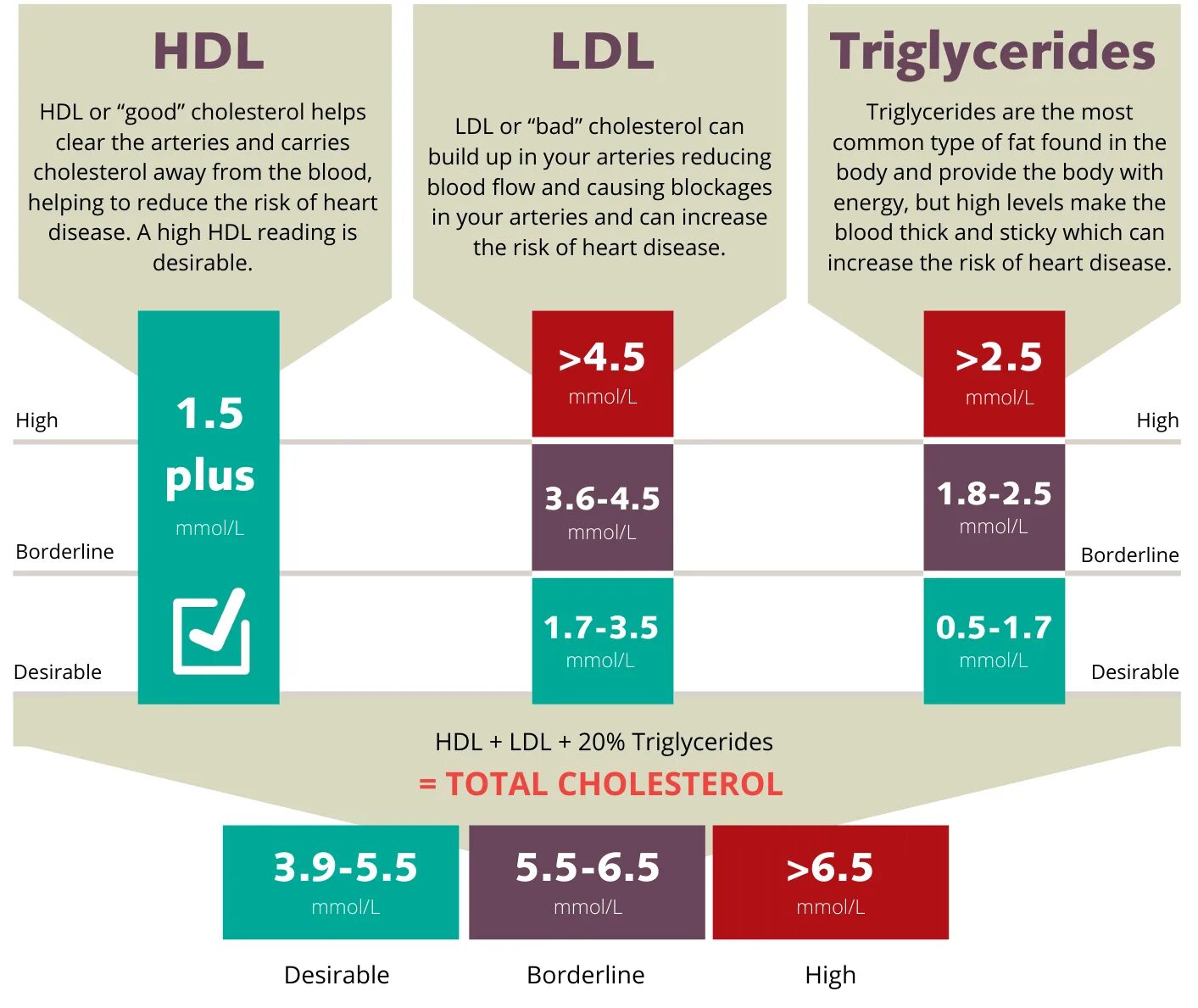 HDL И LDL нормы. HDL холестерин что это. Холестерин HDL И LDL. HDL cholesterol норма.