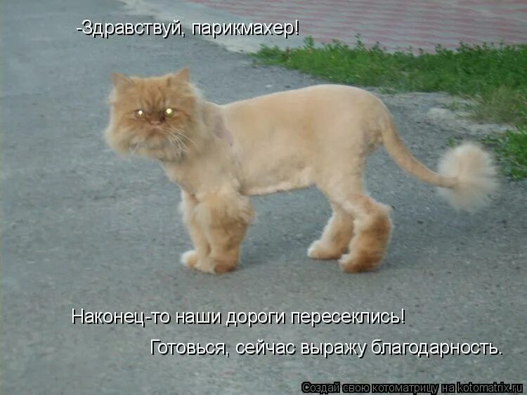 сейчас подготовлюсь. фотограф прикол.