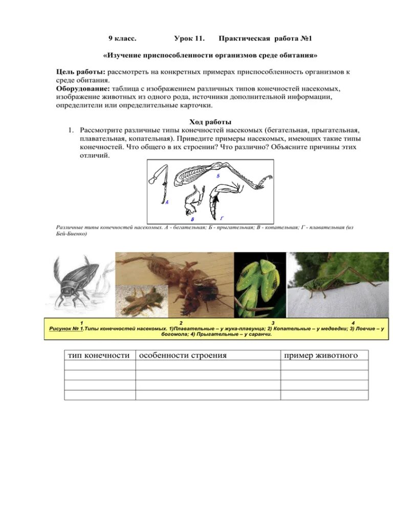 Богомол черты приспособленности. Лабораторная работа приспособленность организмов. Лабораторная работа выявление приспособленности. Практическая работа приспособленность организмов. Лабораторная работа изучение приспособленности.