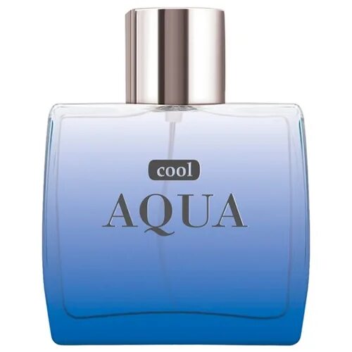 Renoir вода paris туалетная. Aqua apple parfums мужские. Аква блю туалетная вода для мужчин. Aqua blue духи. Dilis parfum aqua blue.