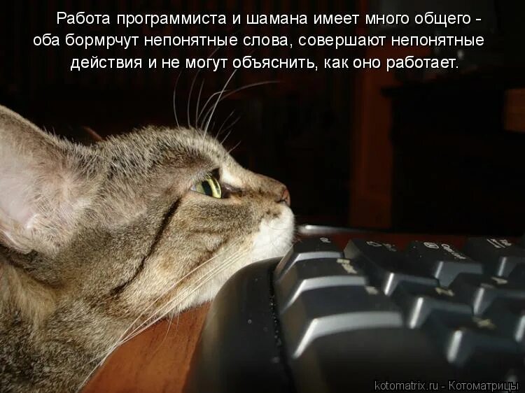 Он никогда не ждал вдохновения сочинение