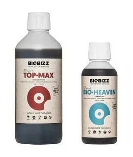 L bio