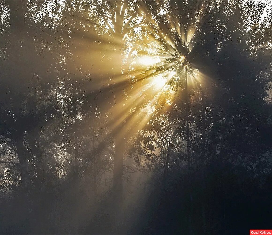 Анимация на прозрачном фоне. Блистать или блестать правило. Блестающее. Блестающее. Мерцающие звездочки на прозрачном фоне.