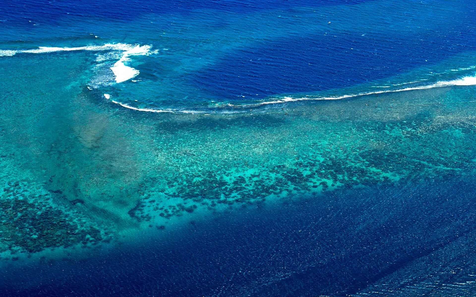 Coral island на русском. Коралловый остров. Барьерные острова. Коралловые острова фото. Коралловый остров вблизи Кубы.