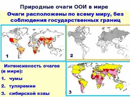 Типы природных очагов