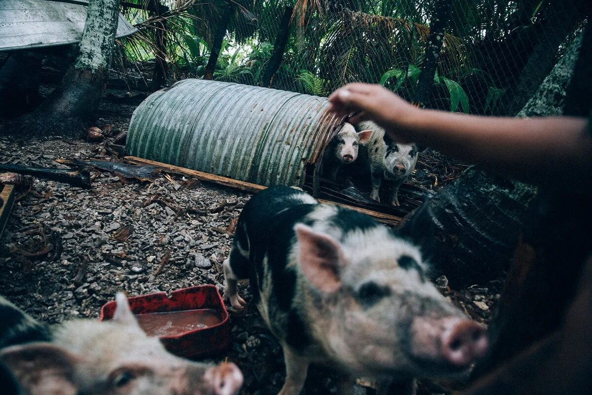 Острова токелау. Острова питкэрн, заморская территория великобритании. Самая удаленная страна. Токелау. Токелау люди живущие.