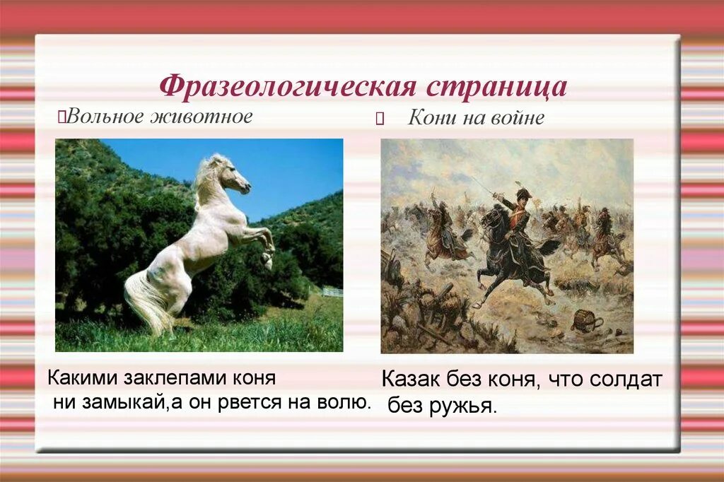 Слово без коня. Фразеологическая страница слово конь. Проект о слове лошадь. Фразеологический портрет коня. Канут презентация.