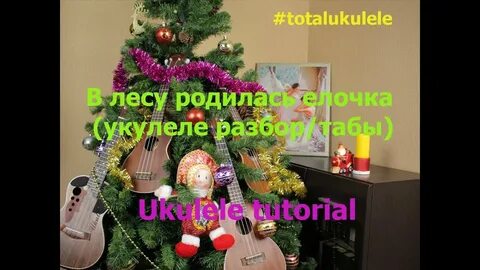 Аранжировка в лесу родилась елочка