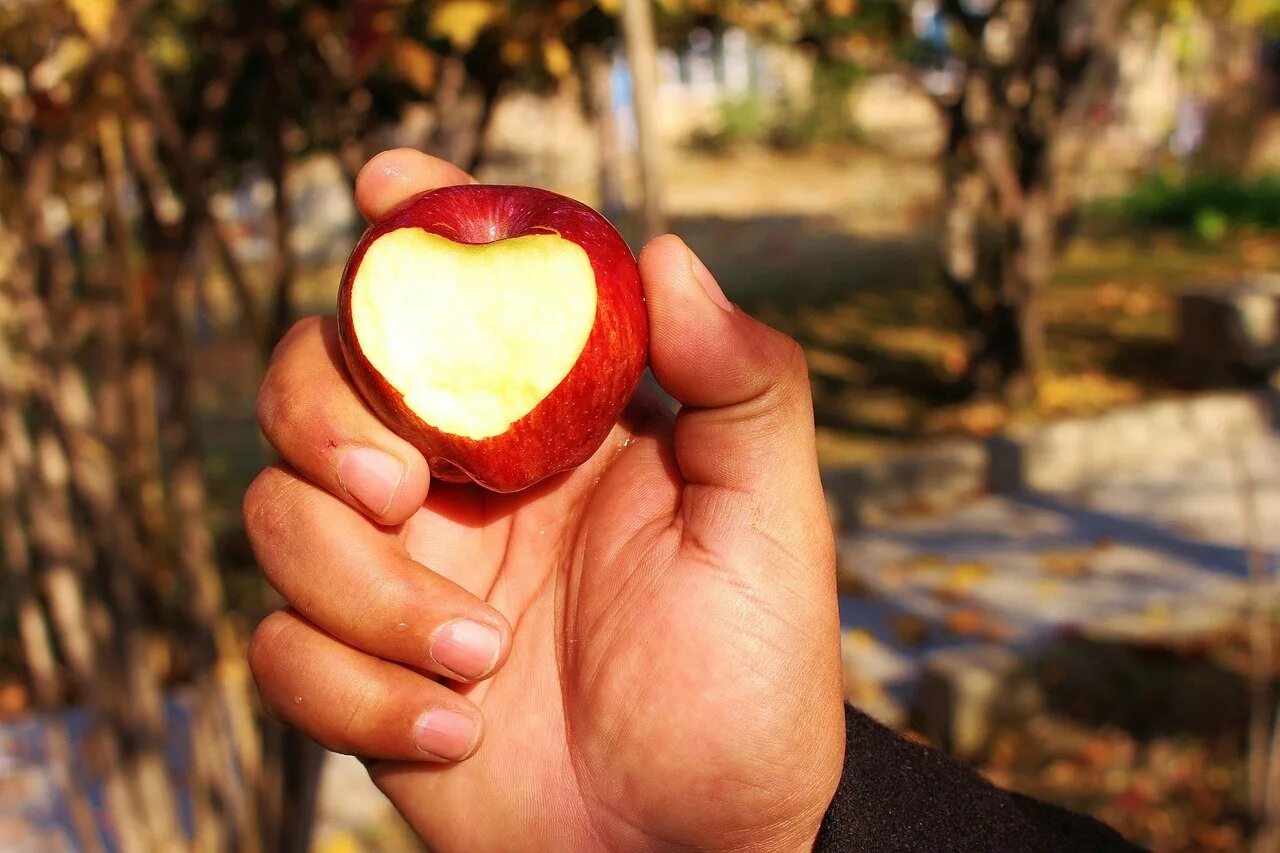 Яблоко с сердечком. Фрукты в форме сердца. Сердечко из яблок. Фрукты в форме сердечка. Фруктовые сердца