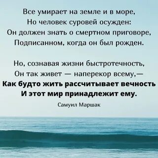 Размышление о ценности жизни