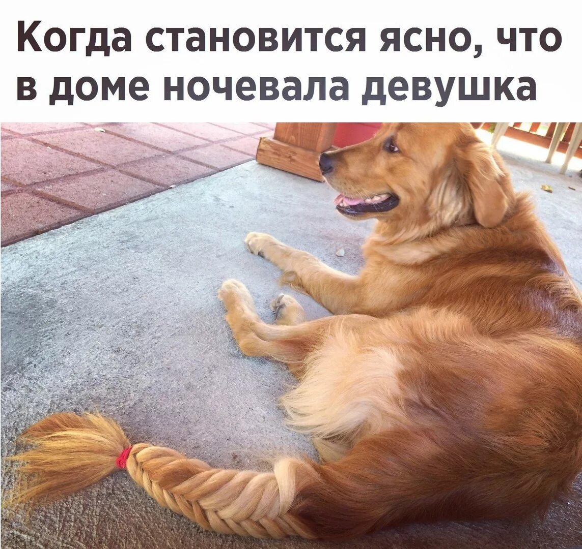 Смешные картинки с надписями для поднятия
