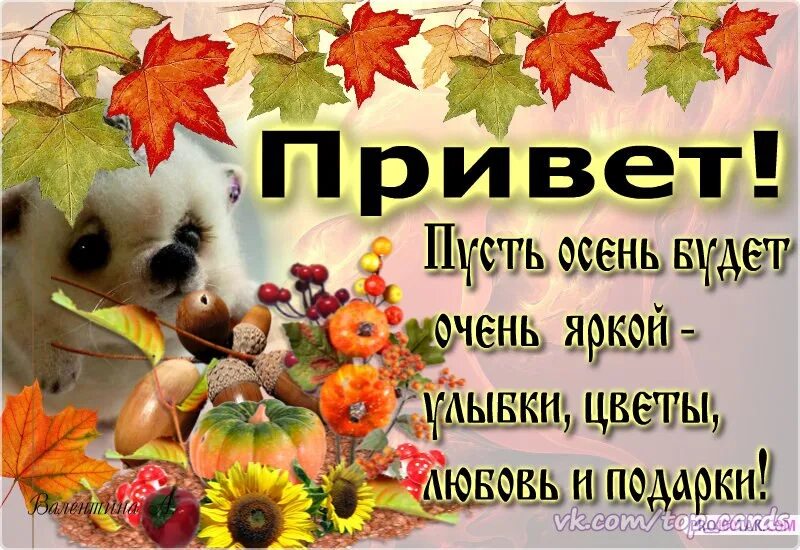 Мам пусть осень. Привет, осень!. осенний сентябрьский привет. привет сентябрь привет осень. осенний привет картинки.