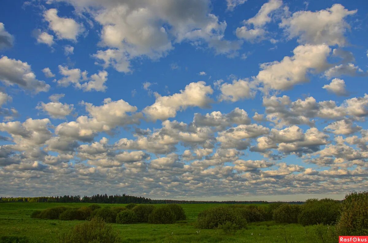Канадский художник ренато мучилло. Художественные большое небо. Красивые облака. Небо закат. Художественные большое небо.