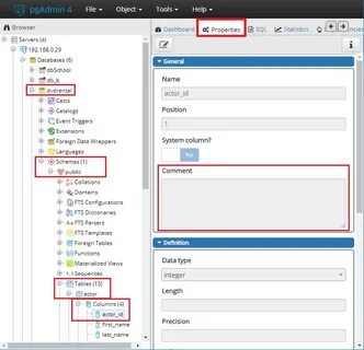 Pgadmin runtime environment
